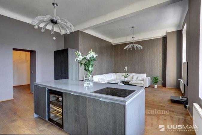 Old Town Apartment Pärnu Extérieur photo
