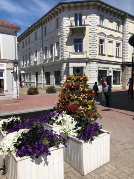 Old Town Apartment Pärnu Extérieur photo